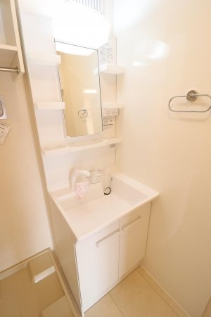 トレフィーリャ  その他3