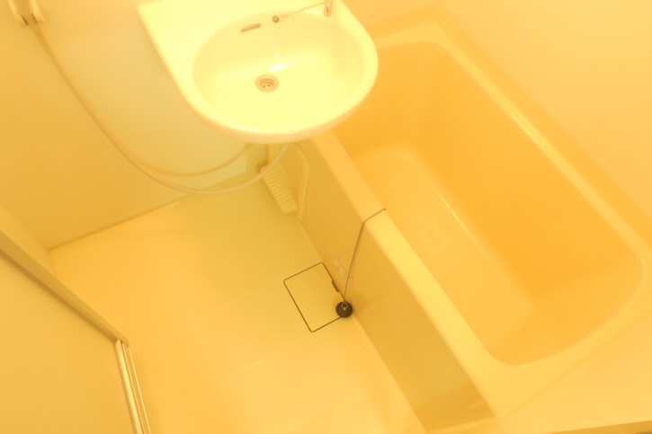 スカイコスモ国領  風呂画像