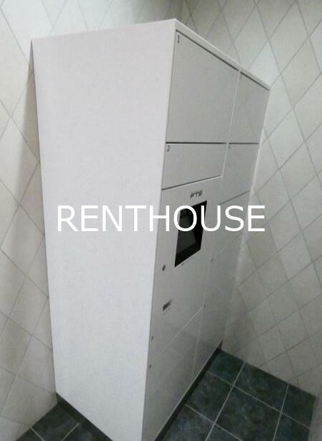 トゥインクルヴィータ  その他2