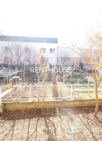 泉コーポ   その他2