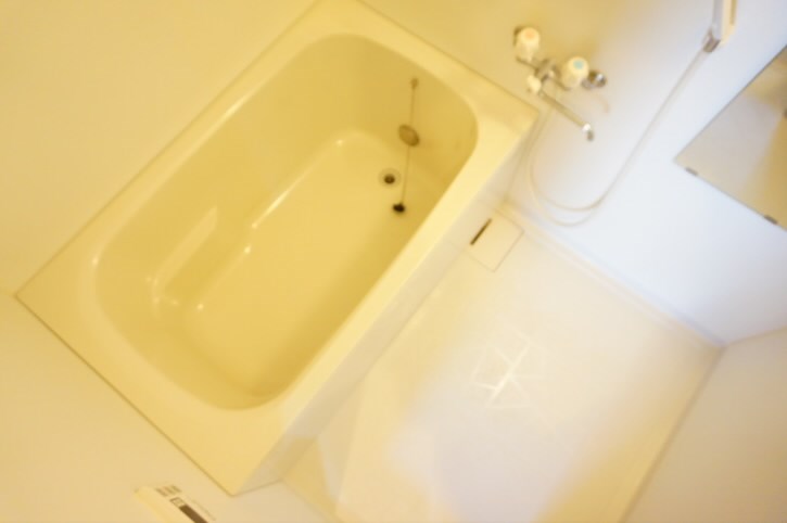 モンレ―ヴ染地   風呂画像