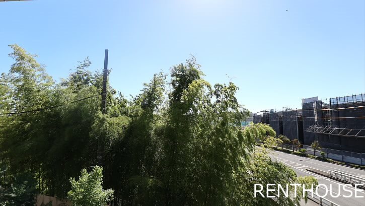 ジュノウ   その他3