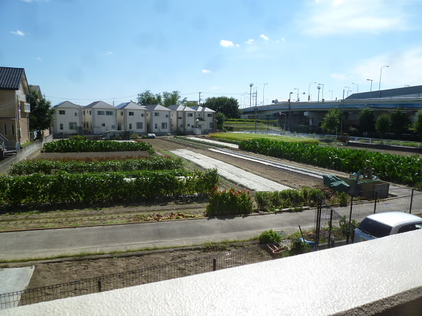 ネクステージ飛田給  ベッドルーム