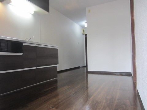 カーサグリーンプラザ  リビング