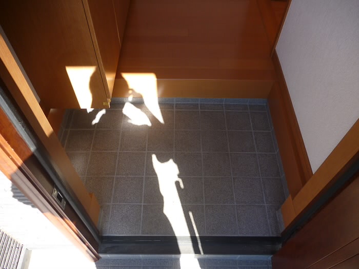 トリリオン 玄関