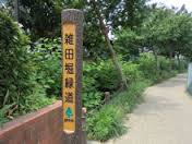 トリリオン 周辺画像6