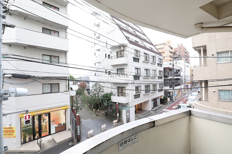 チェリーブロッサム  その他6