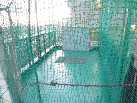 ロイヤルハワイアン   その他2