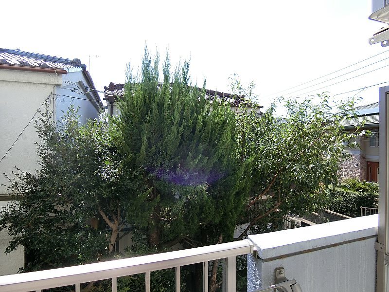 ガーデンホーク  その他4