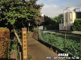 タウンコート本宿　当社管理物件  周辺画像7