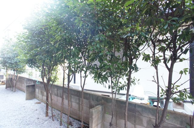 プレジール狛江  その他5