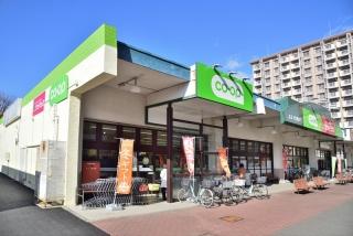 染地戸建【当店限定物件】  周辺画像2