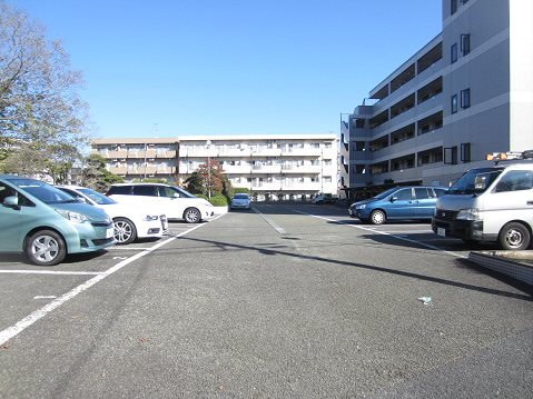 ヴィラアライ7  その他1