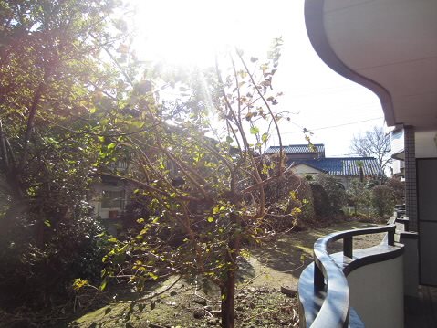 ヴィラアライ7  その他5