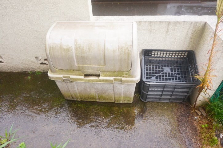 カーム善元  その他10