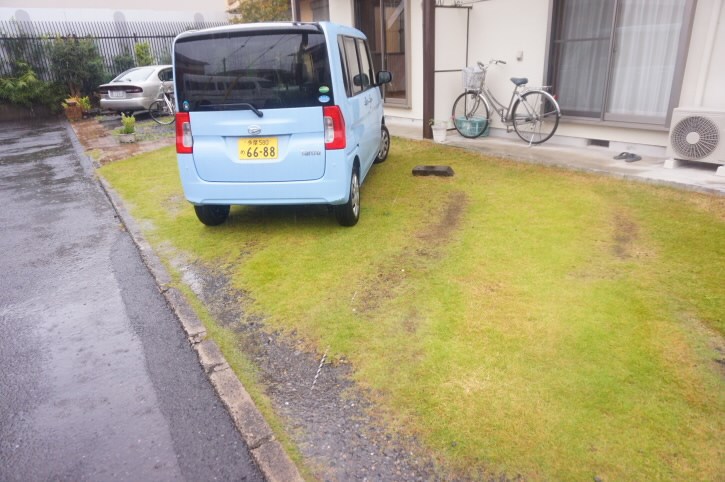 カーム善元  その他11