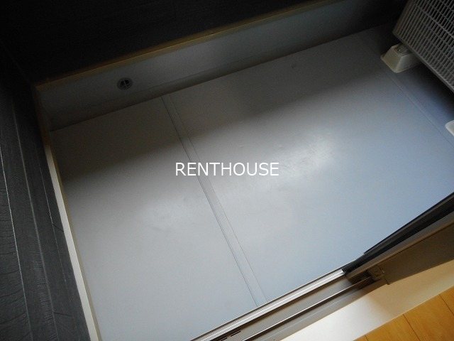 フラワーキャット  その他1