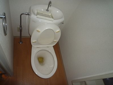 リコルディ白糸 その他4