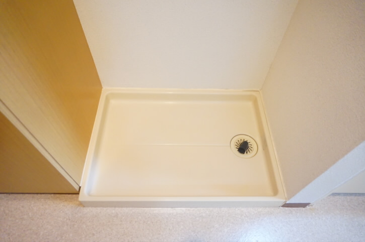 ドミンゴ    その他1