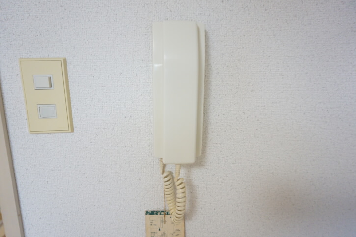 ドミンゴ    その他5