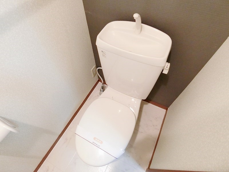 カメリア   その他1