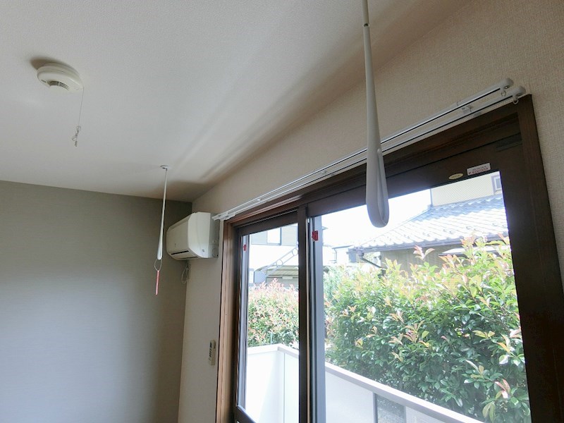 カメリア   その他3