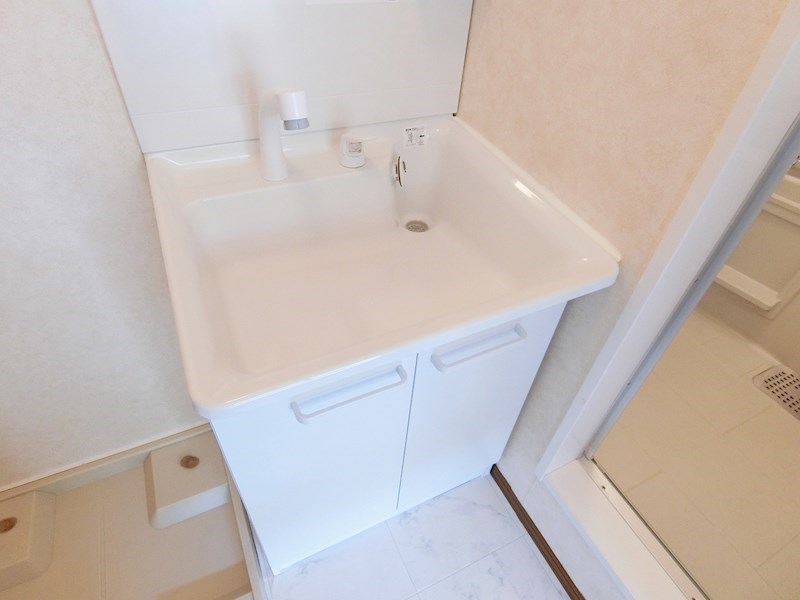 カメリア   その他6