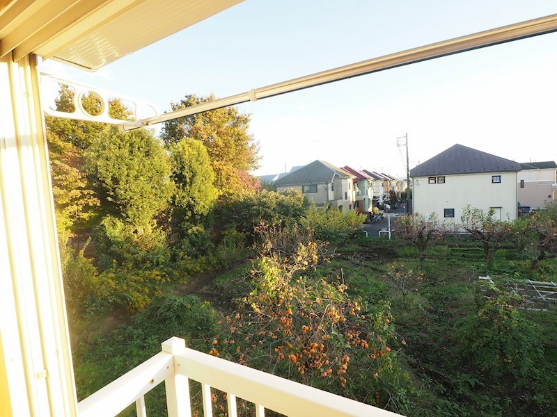 第一シャンポールFUJI その他4