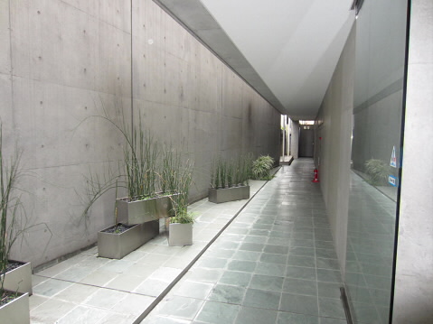 ハイム光    その他6