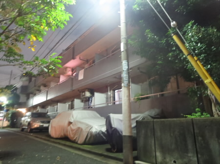 その他1