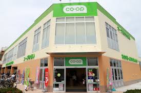 国立メゾンシャイン 周辺画像6