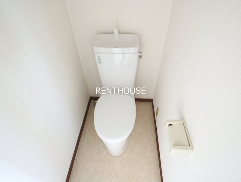 リトルブラウン  その他1