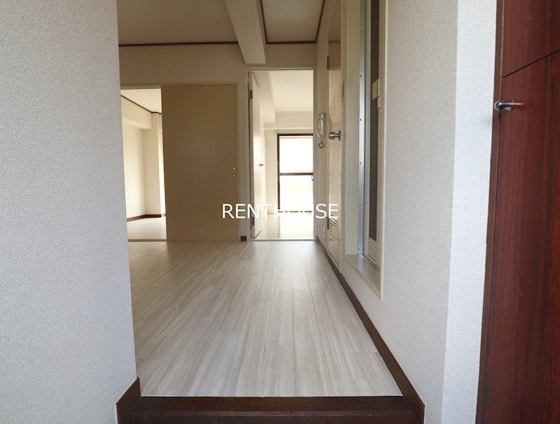 リトルブラウン  その他5