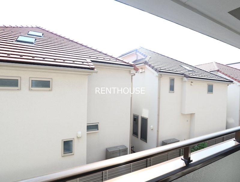 リトルブラウン  その他6