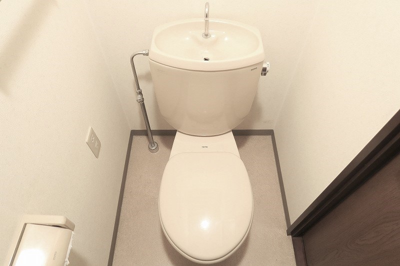 ヴェルドミール   その他1