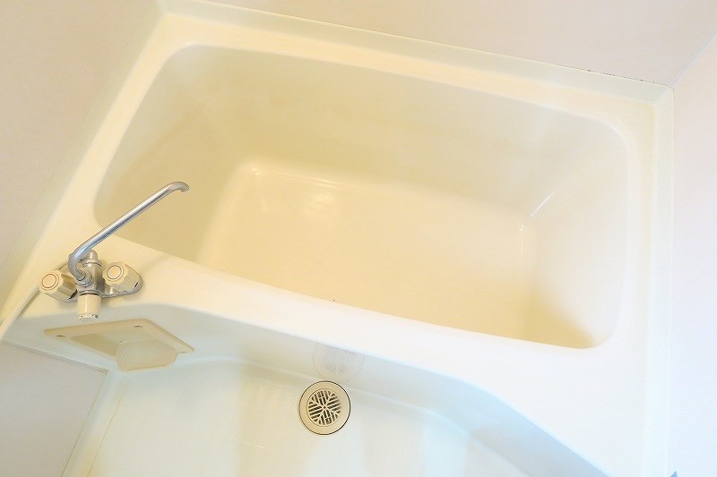 ヴェルドミール   その他10