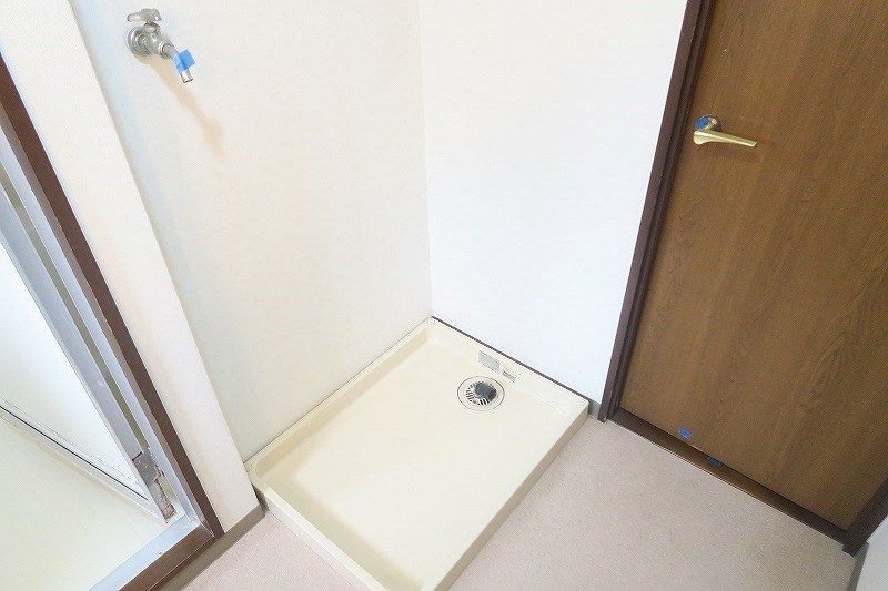 ヴェルドミール   その他12