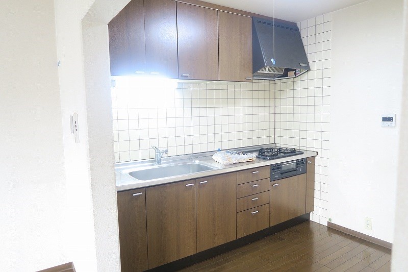 ヴェルドミール   その他14