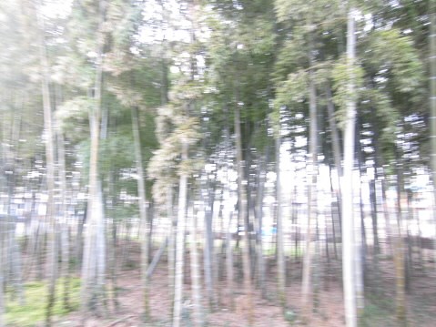 ハウスフォーレスト   その他7