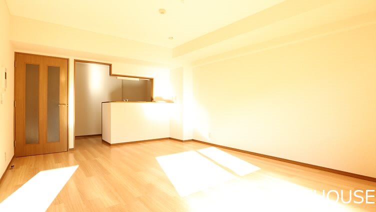 ルミエールヤガサキ    リビング