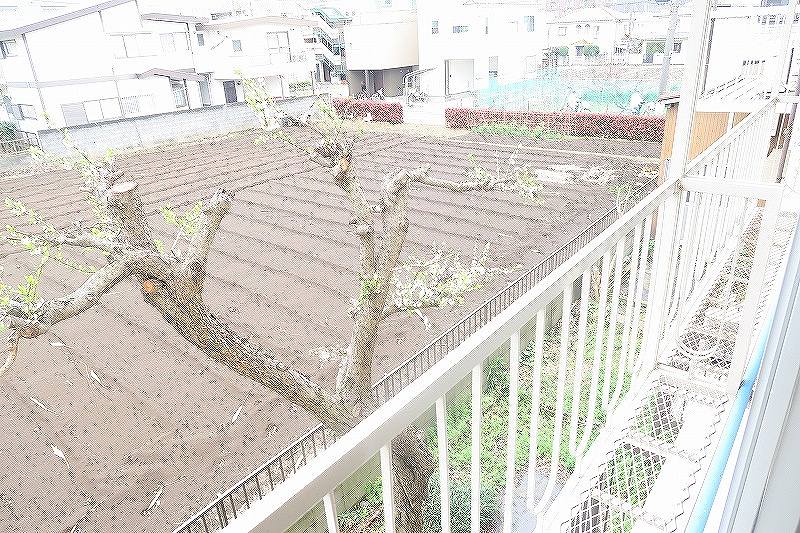 エコーハイツ  ベランダ