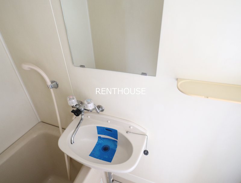 リトルブラウン  その他3