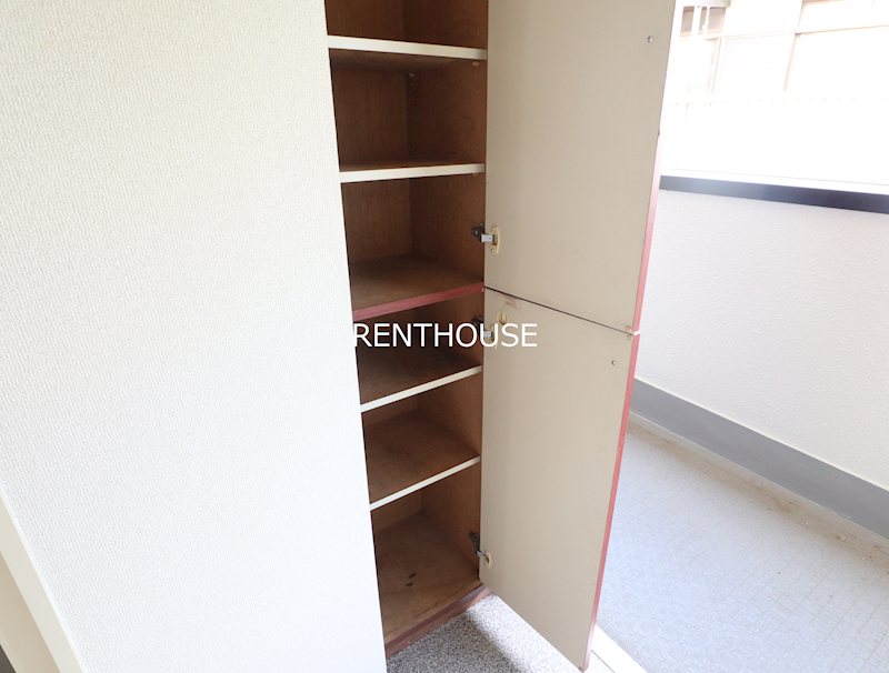 リトルブラウン  その他4