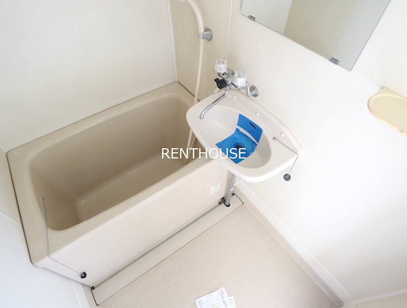 リトルブラウン  風呂画像