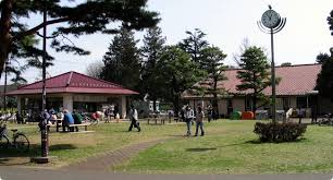 エクセルアサヒ 【東京外国語大学受験生事前予約可能物件】  周辺画像6