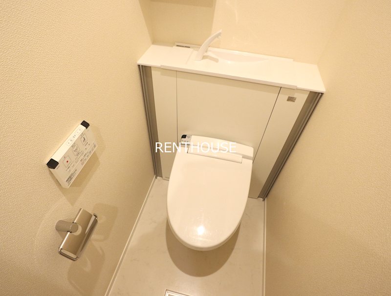 カロリナ    その他6