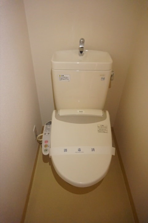 ブルースター  その他1