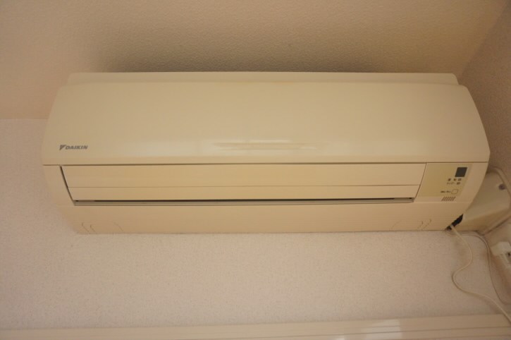 ブルースター  その他4