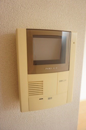 ブルースター  その他5