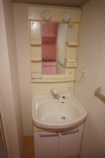 ブルースター  その他6